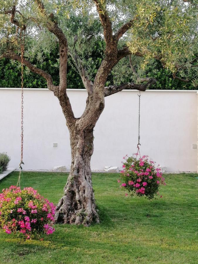 Villa Roza Umag Ngoại thất bức ảnh